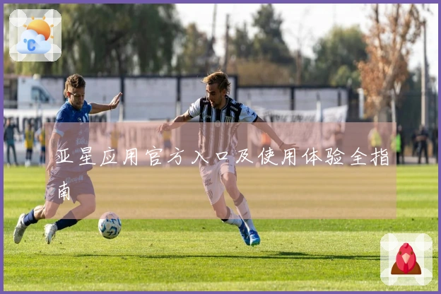 亚星应用官方入口及使用体验全指南