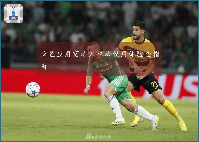 亚星应用官方入口及使用体验全指南